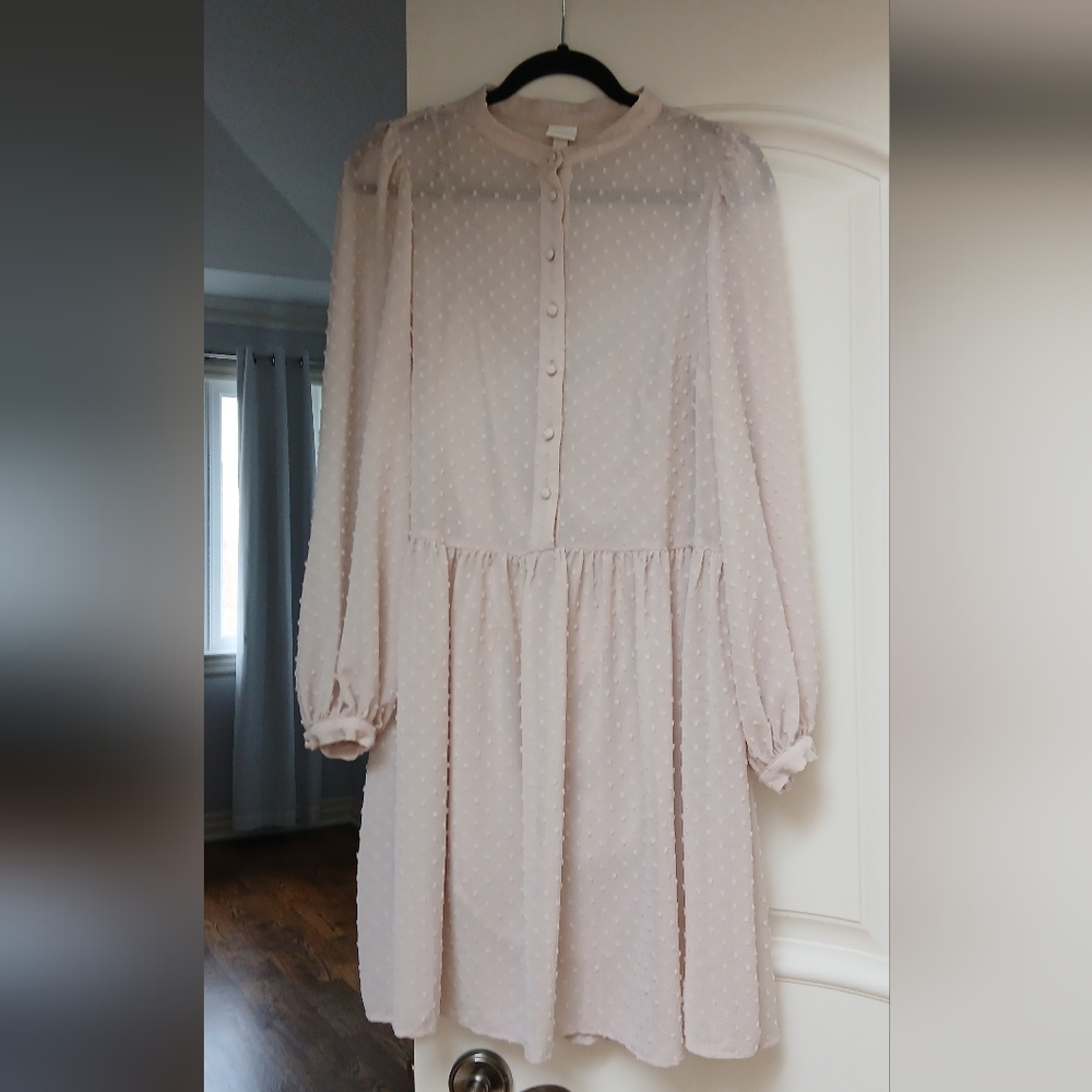 Sheer Polka Dot Dress